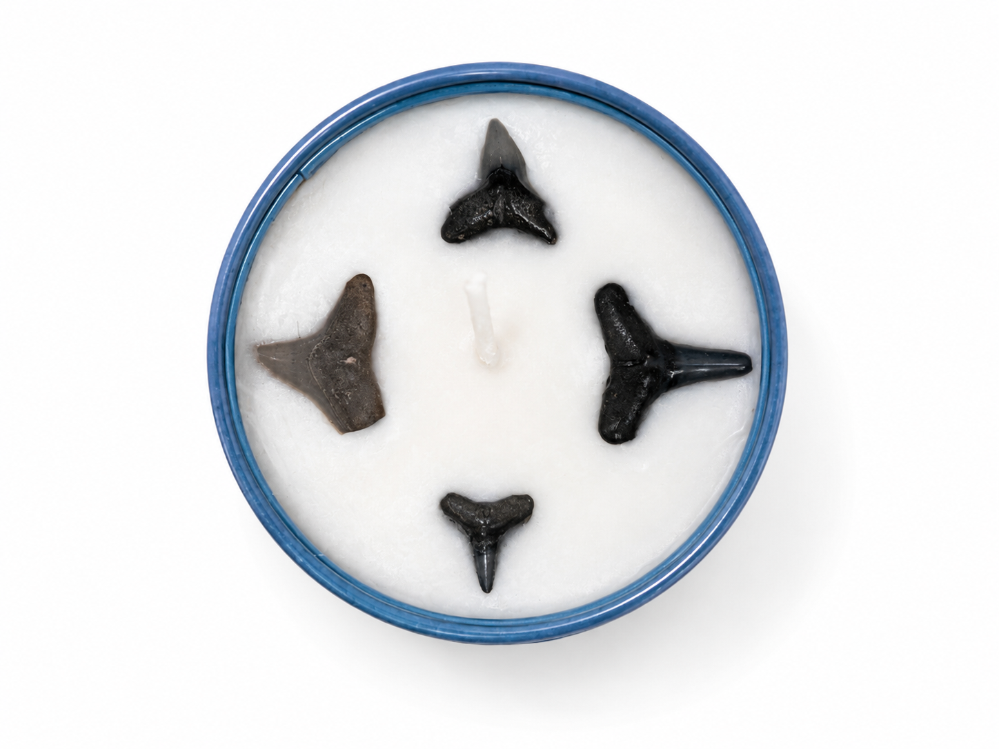 Party Wave Shark Tooth Candle 3.5oz