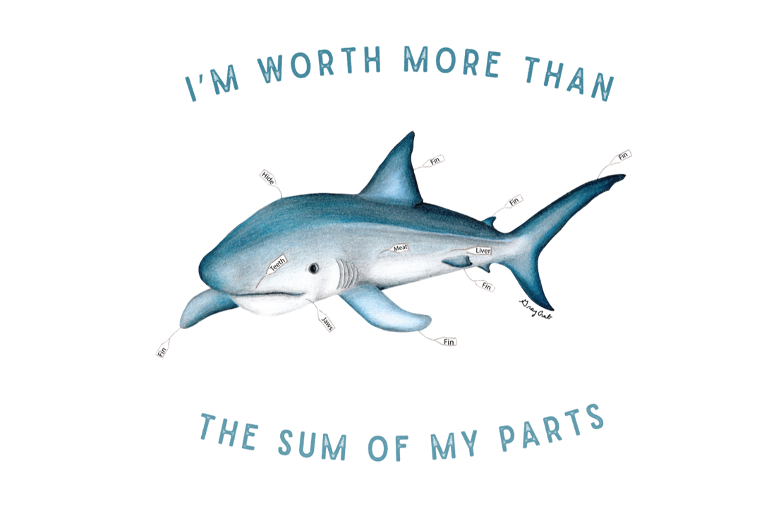 SHARK SAFE & SHARK FREE PRODUCTS