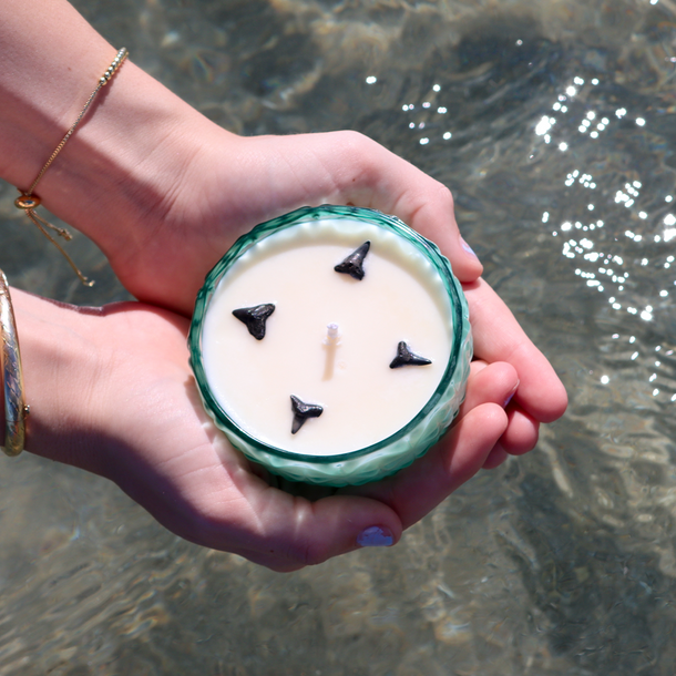 shark tooth candle